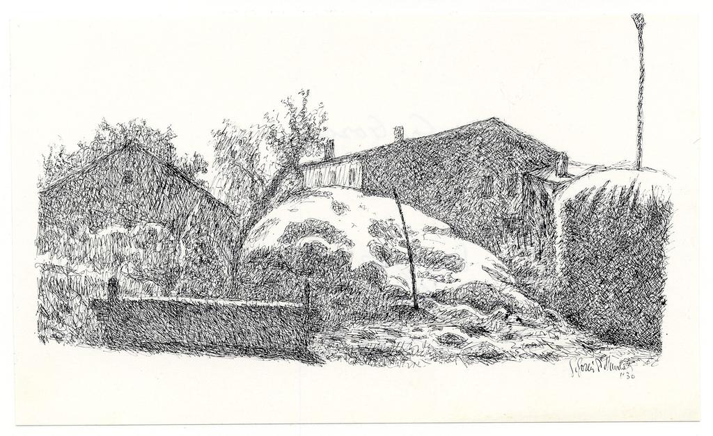 fronte
