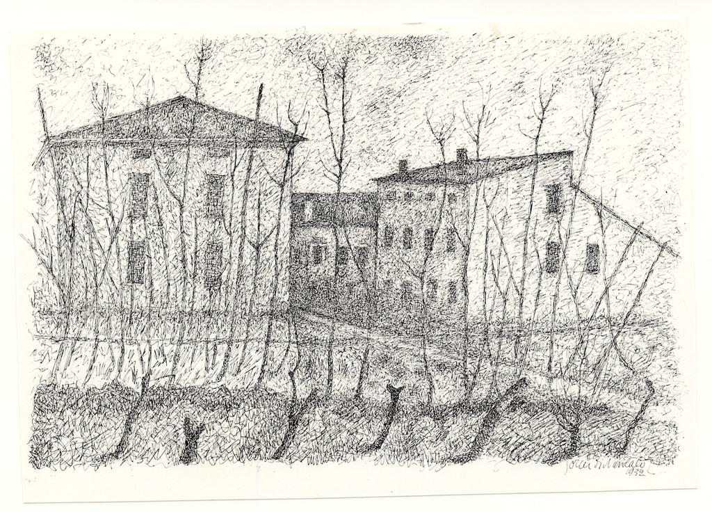 fronte