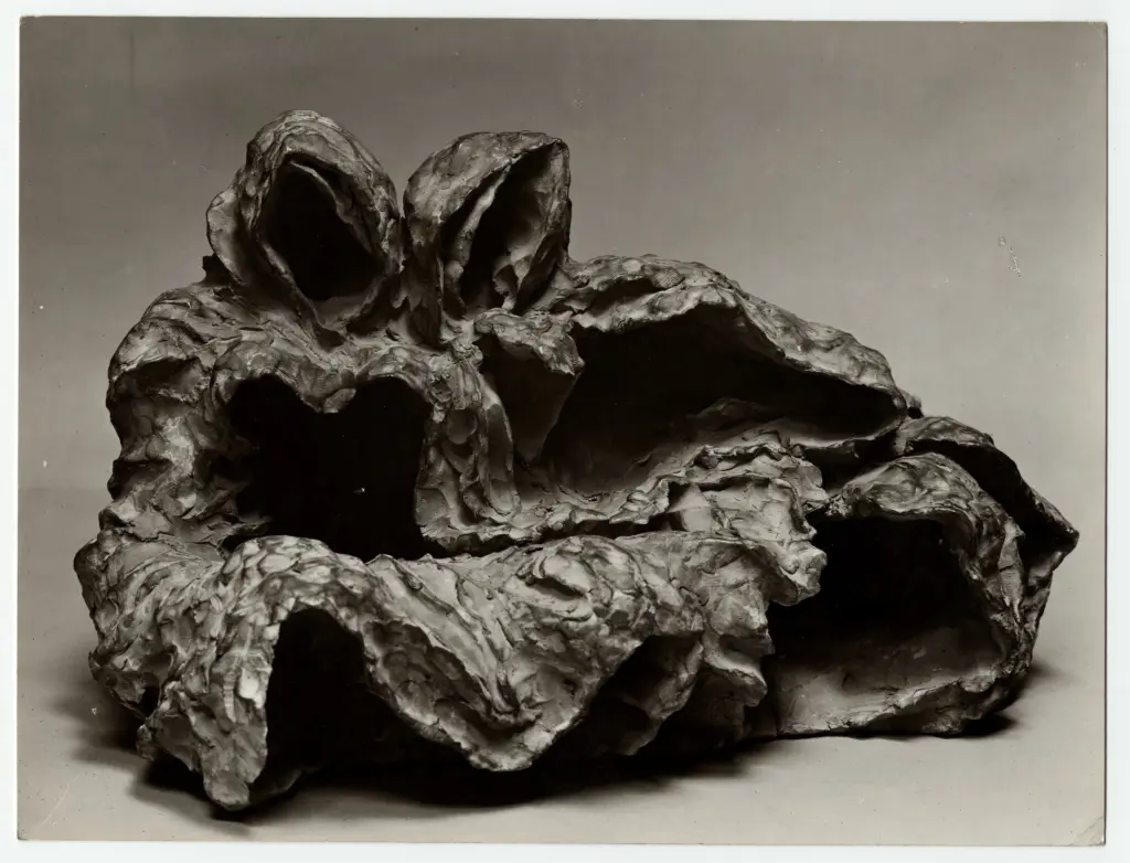 Perotti, Mario , fronte