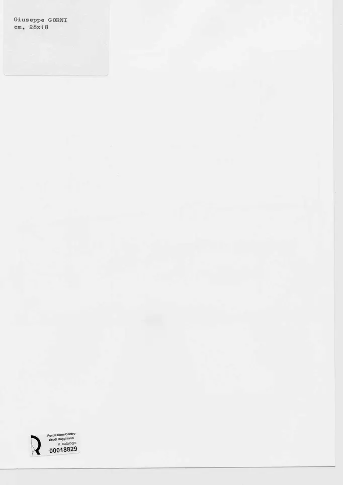 Anonimo , Gorni, Giuseppe - - , retro