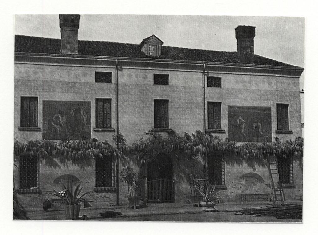 Anonimo , fronte