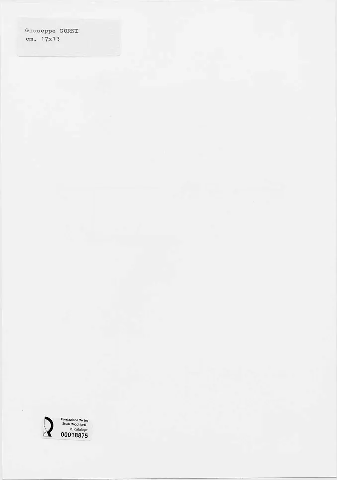 Anonimo, Anonimo , retro