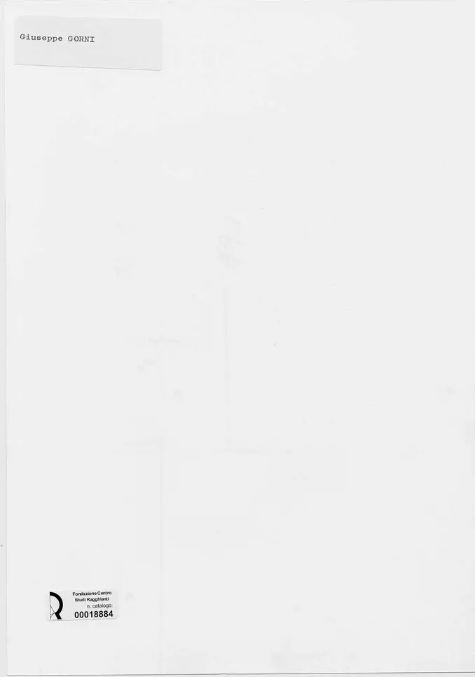 Anonimo, Anonimo , retro