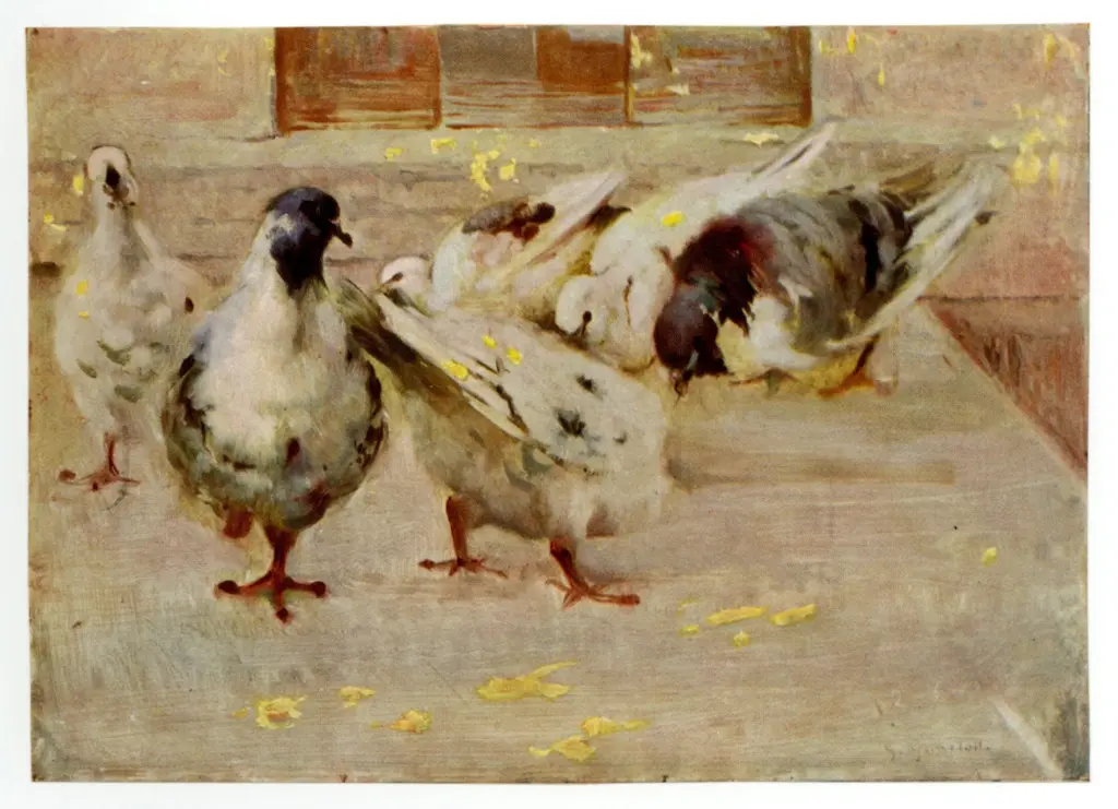 Anonimo, Anonimo , fronte