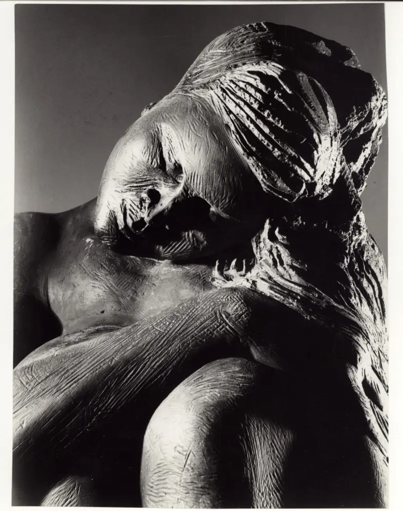 Anonimo, Anonimo , fronte