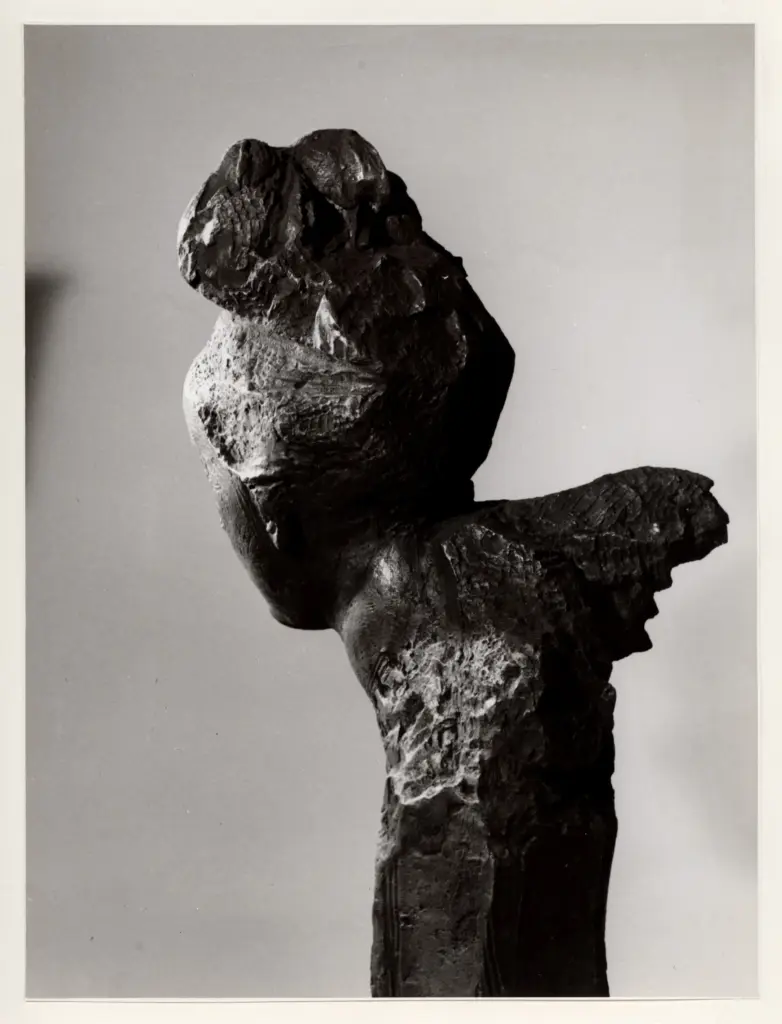 Anonimo, Anonimo , fronte