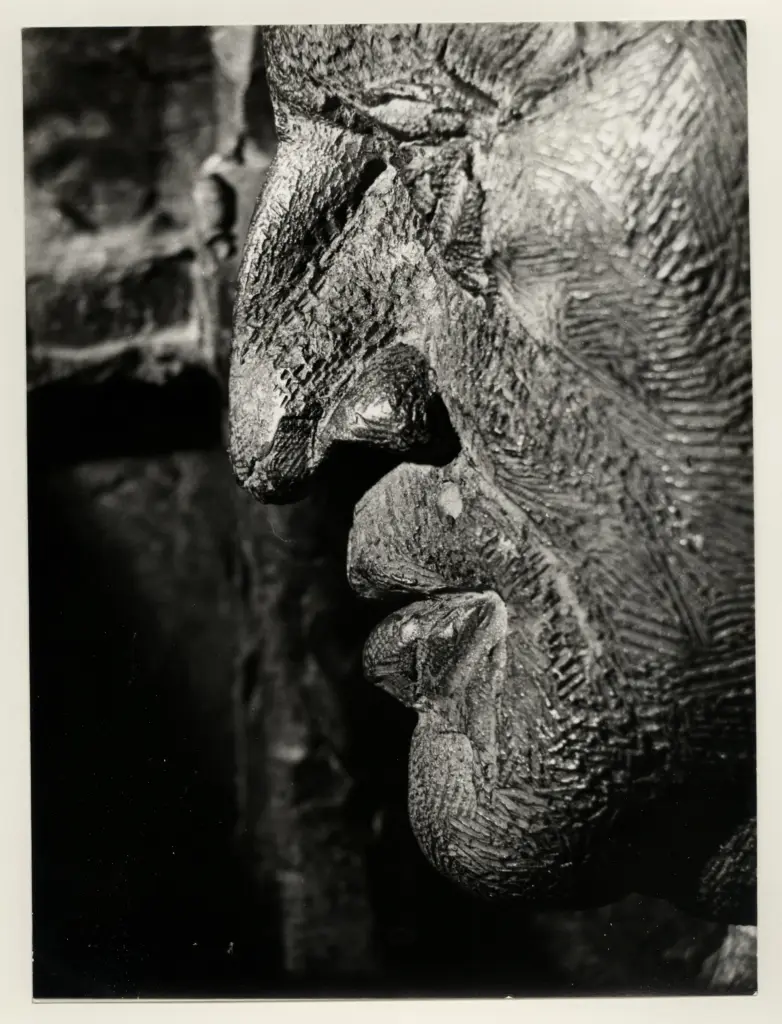 Anonimo, Anonimo , fronte