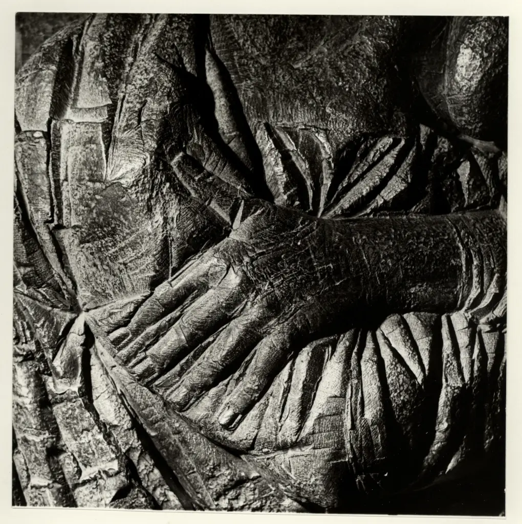 Anonimo, Anonimo , fronte