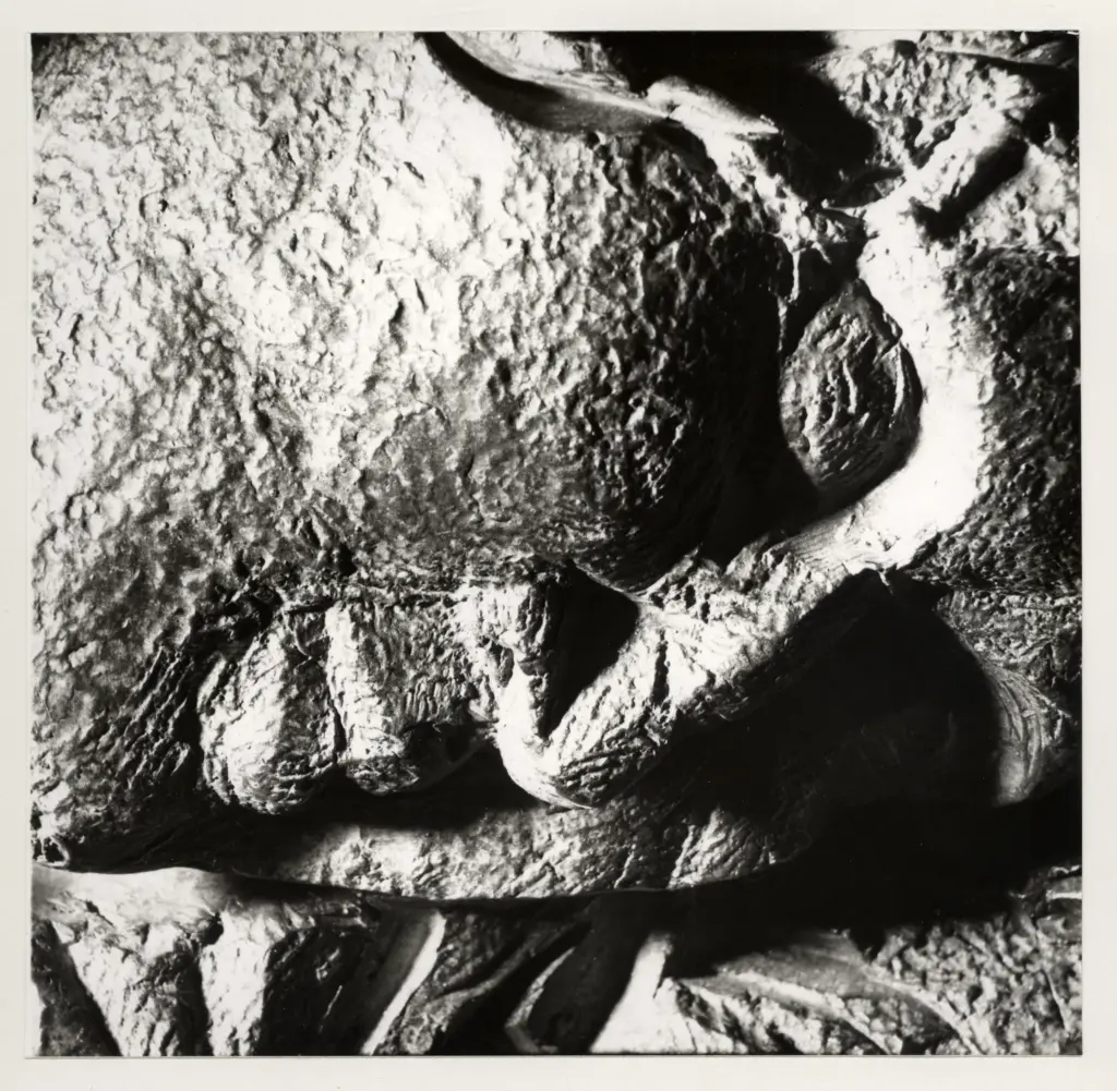 Anonimo, Anonimo , fronte