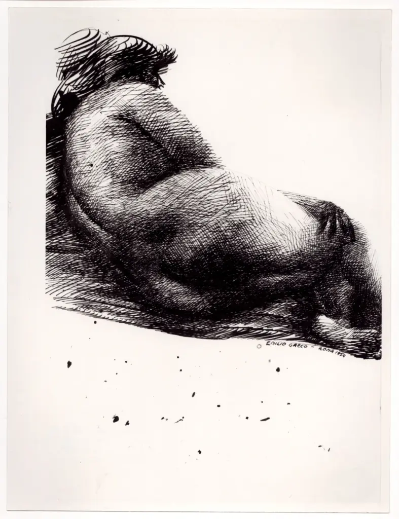 Anonimo, Anonimo , fronte