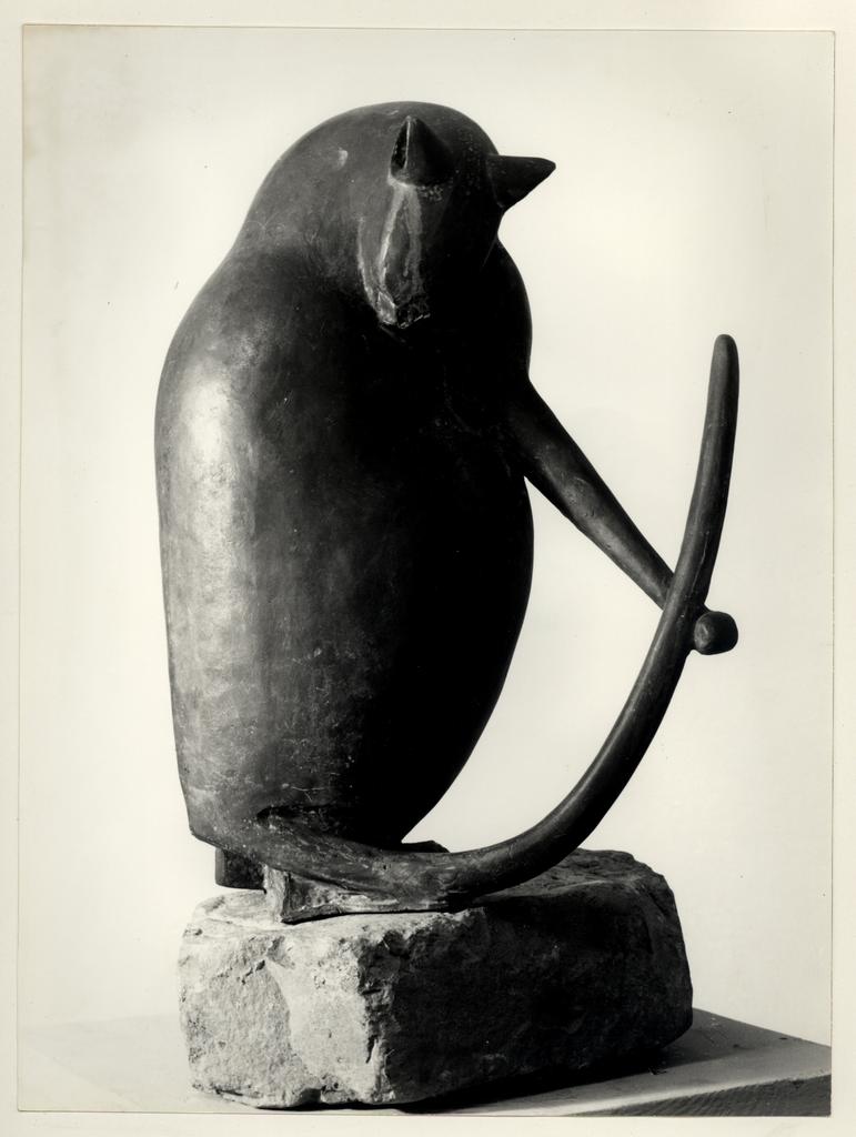 Anonimo , fronte