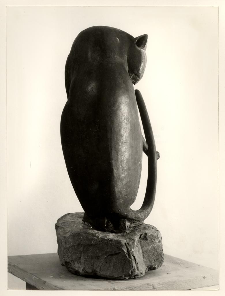Anonimo , fronte