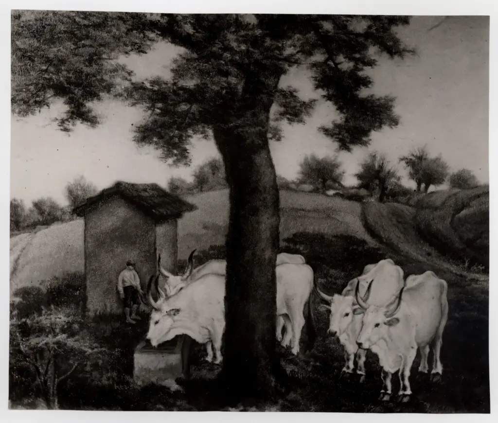 Anonimo , Guerrini, Giovanni - sec. XX - Romagna , fronte