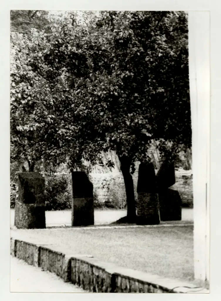 Anonimo , Guerrini, Lorenzo - Vedita delle sculture collocate nel giardino della Fondazione Ragghianti , fronte