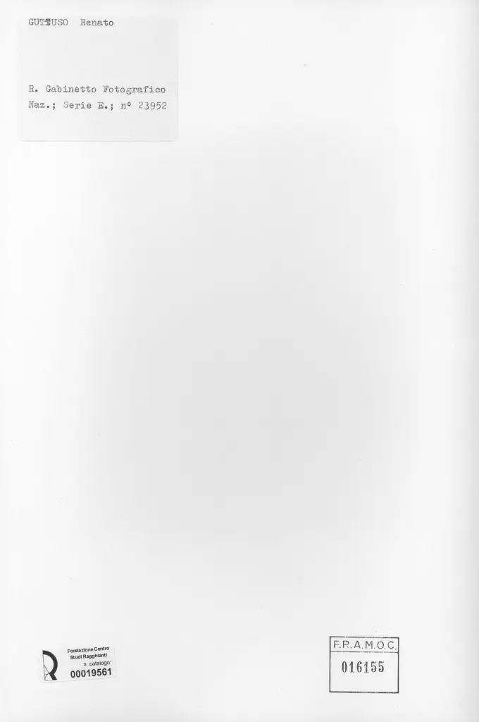 Istituto Centrale per il Catalogo e la Documentazione: Fototeca Nazionale , retro