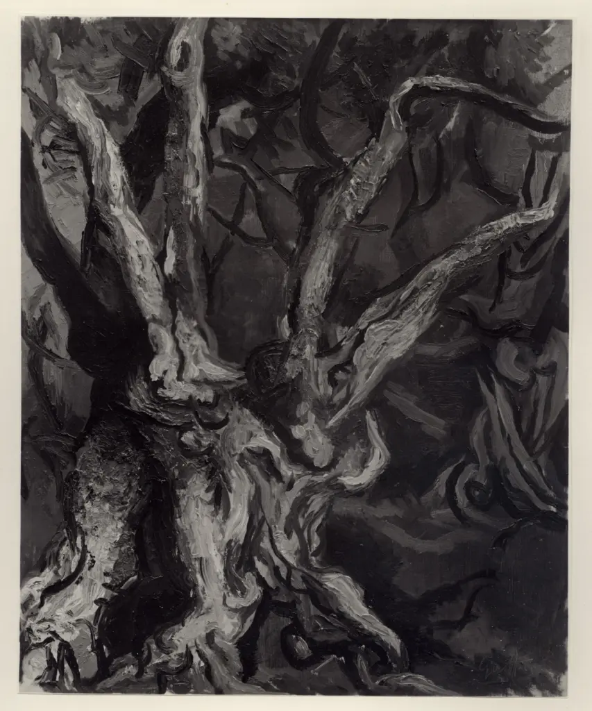 A.F.I. Agenzia Fotografica Industriale , fronte