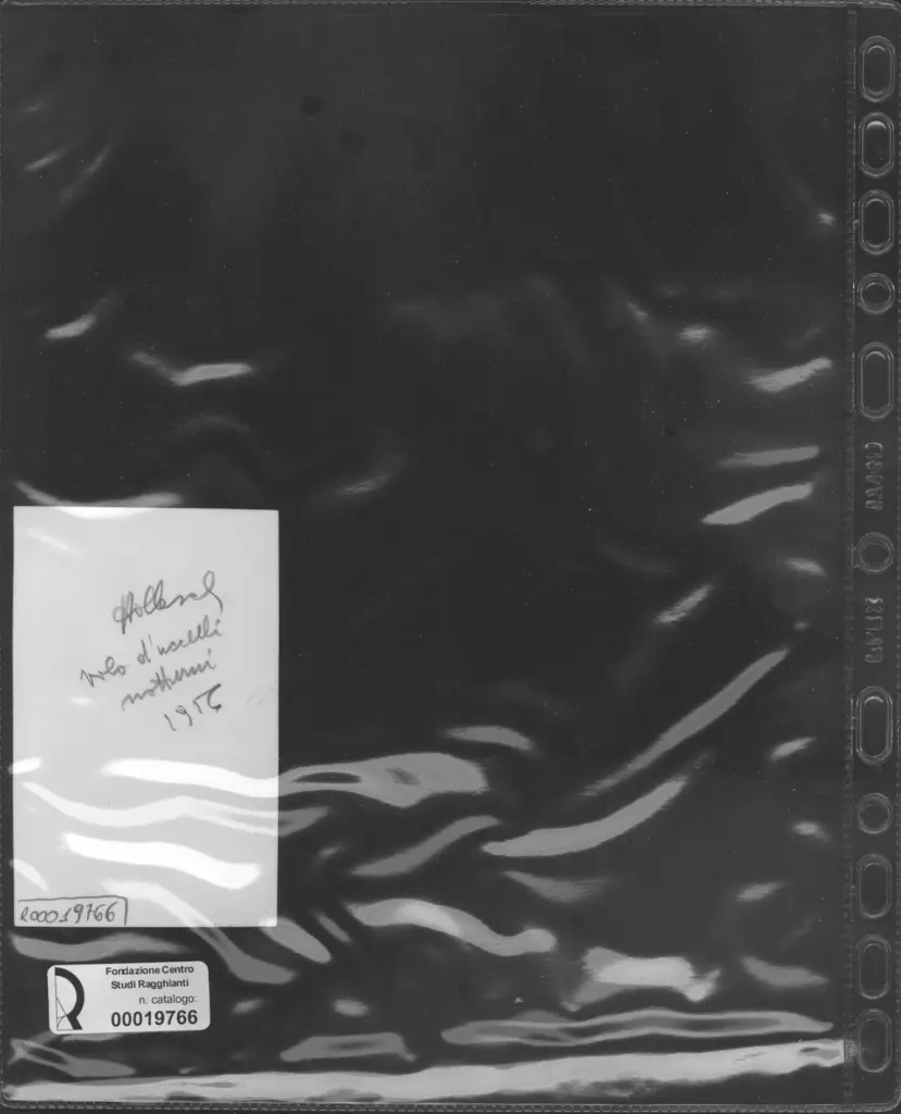 Anonimo, Anonimo , retro