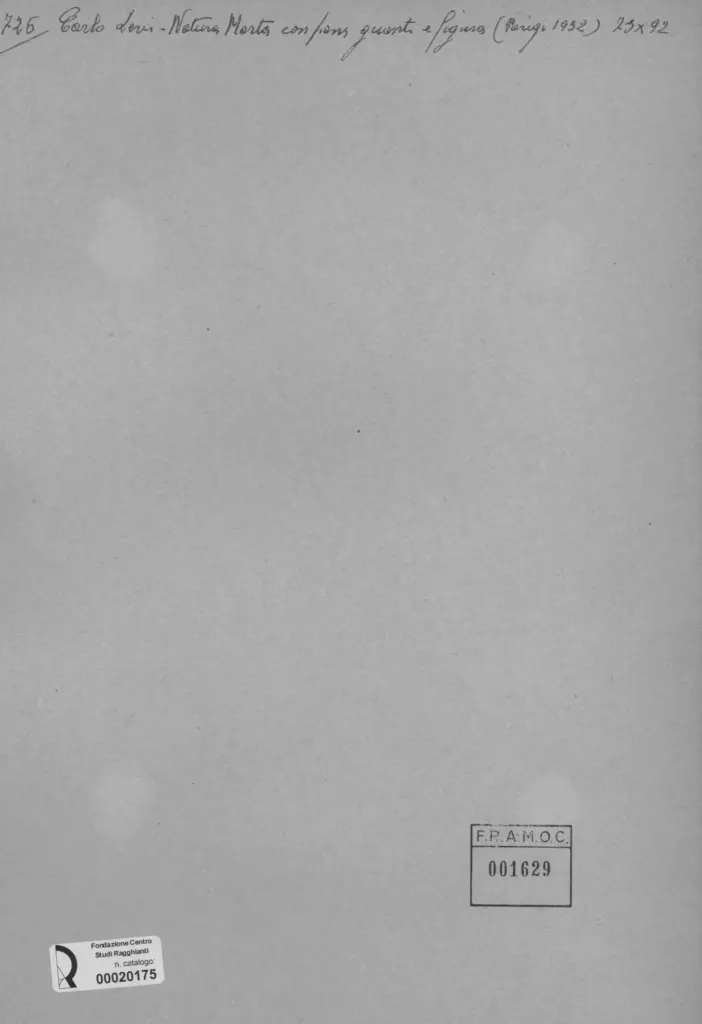 Anonimo, Anonimo , retro