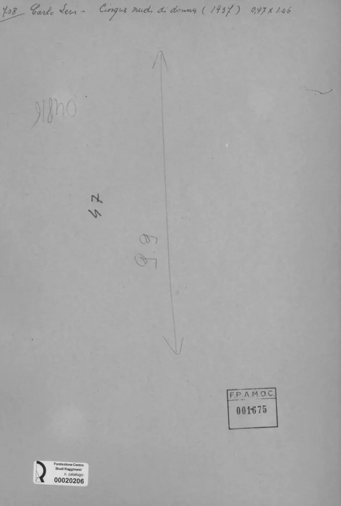 Anonimo, Anonimo , retro