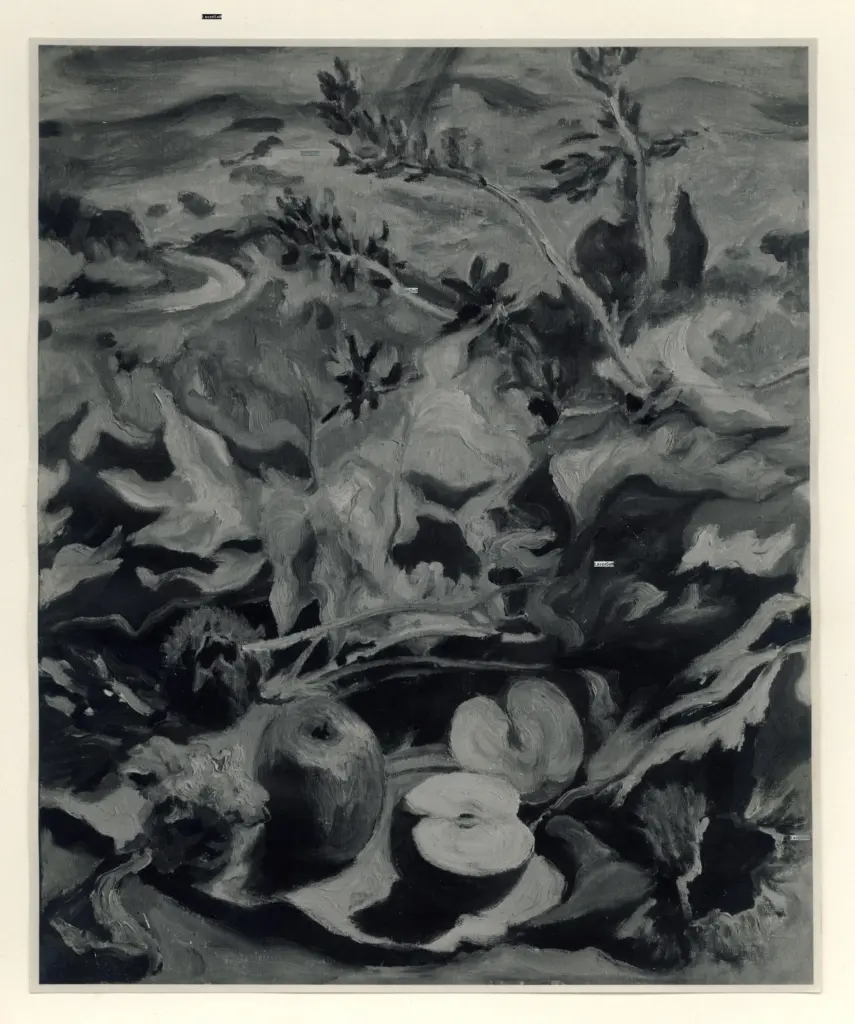 Istituto Centrale per il Catalogo e la Documentazione: Fototeca Nazionale , fronte