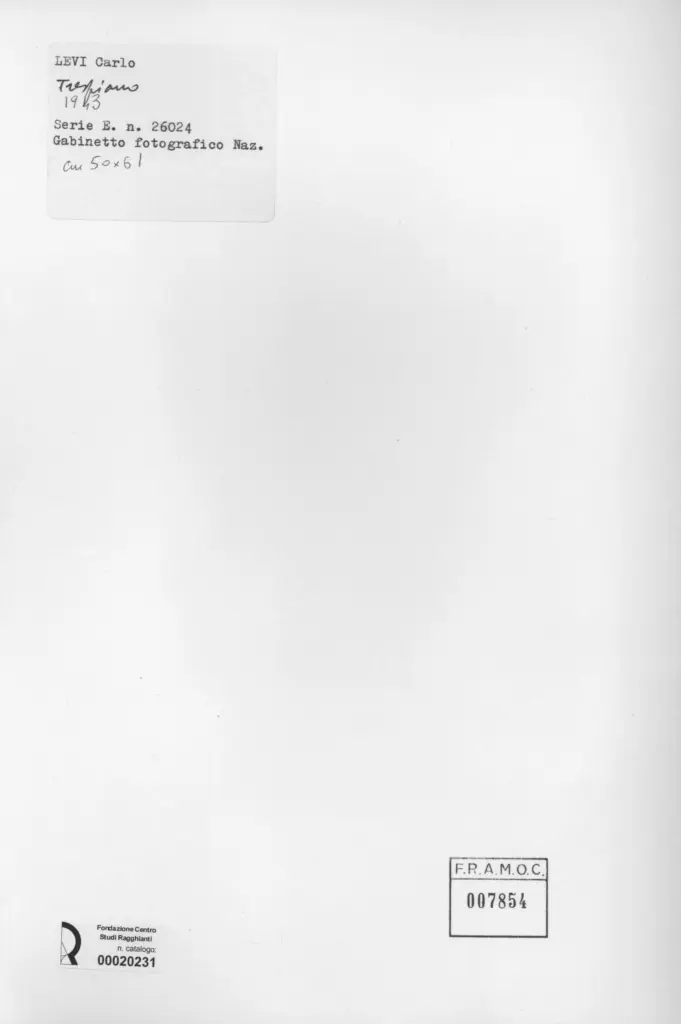 Istituto Centrale per il Catalogo e la Documentazione: Fototeca Nazionale , retro