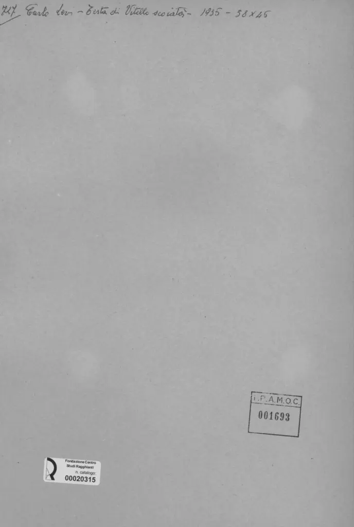 Anonimo, Anonimo , retro