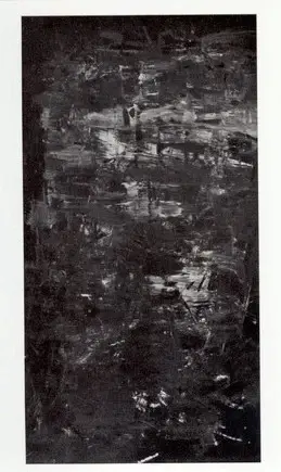 Levi Montalcini, Paola , Doppia immagine