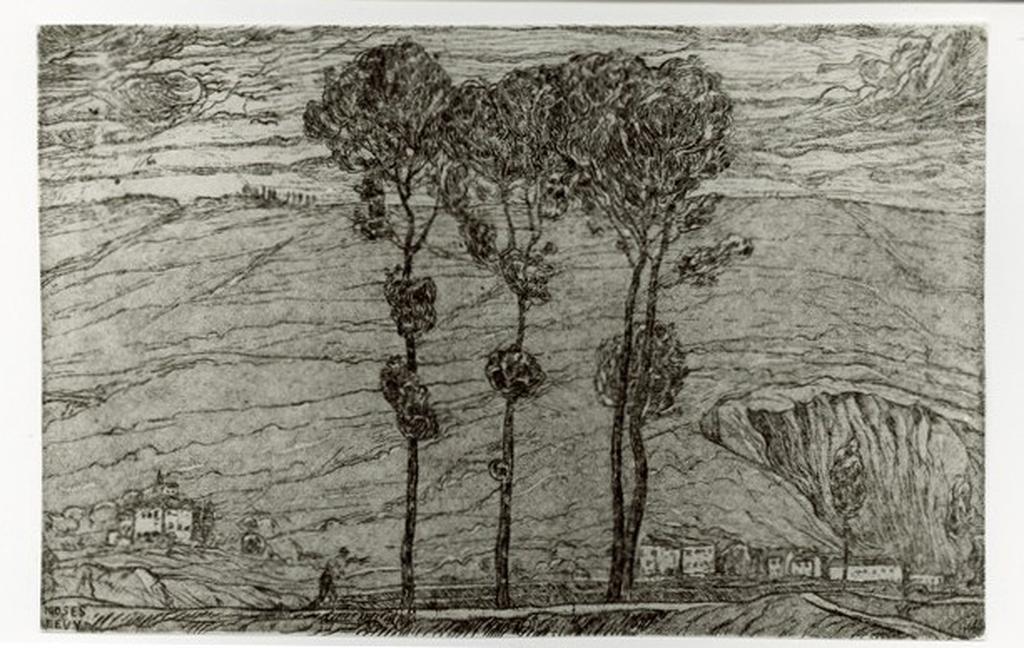 Anonimo , fronte