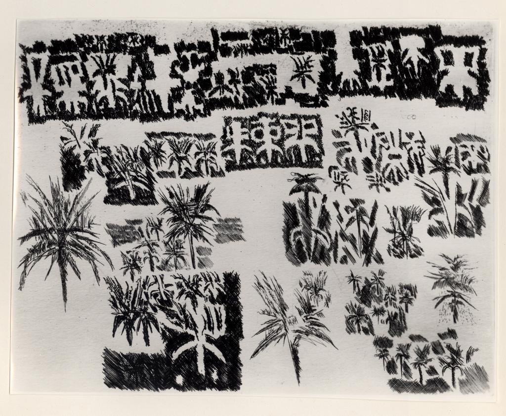 Giacomelli , fronte