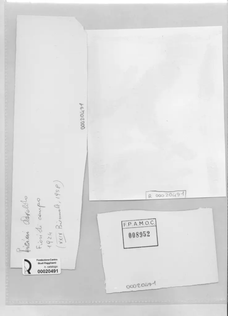 Anonimo, Anonimo , retro