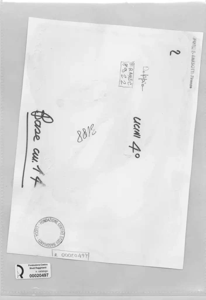 Foto Barsotti , retro