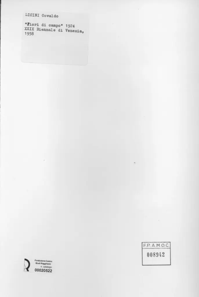 Anonimo, Anonimo , retro