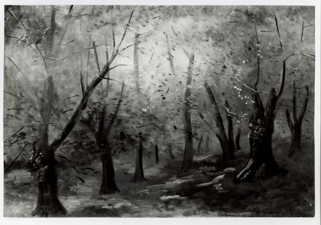 Anonimo , Lilloni, Umberto - sec. XX - Bosco a Corniglia , fronte