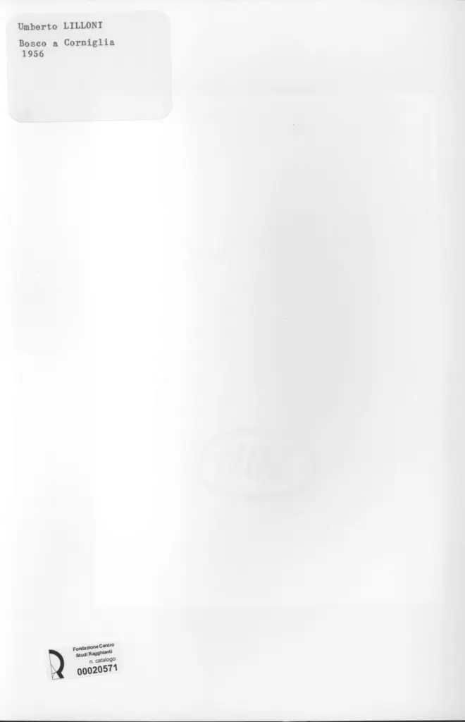 Anonimo , Lilloni, Umberto - sec. XX - Bosco a Corniglia , retro