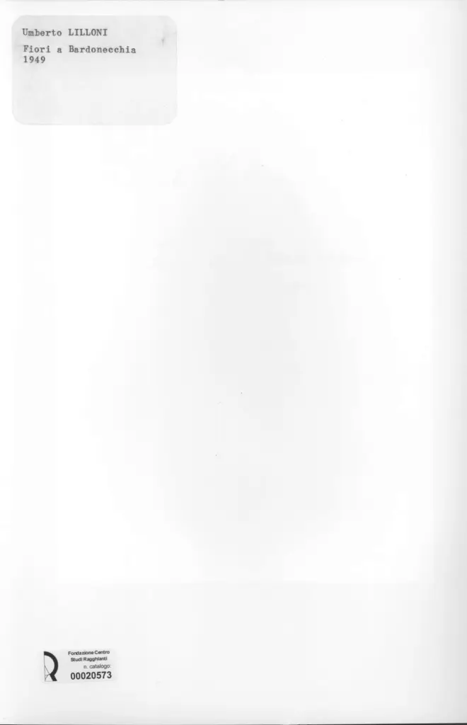 Anonimo, Anonimo , retro