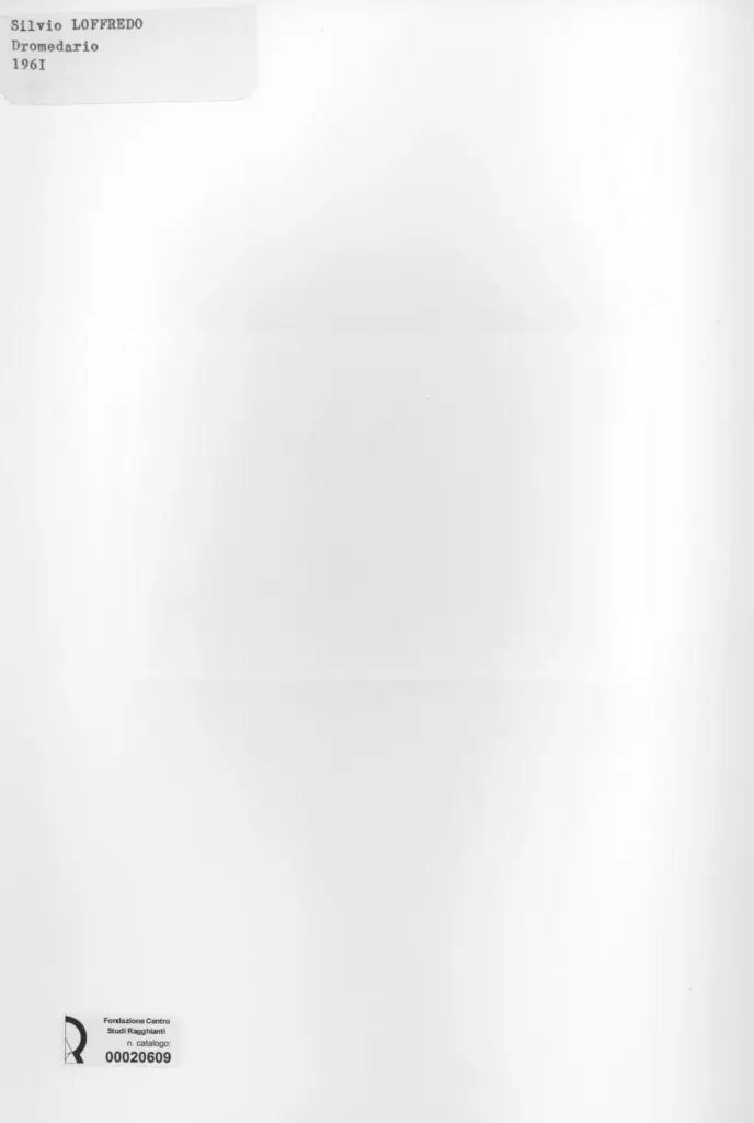 Anonimo, Anonimo , retro