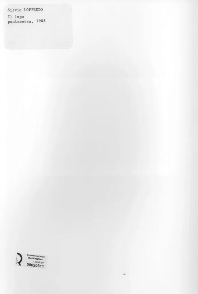 Anonimo, Anonimo , retro