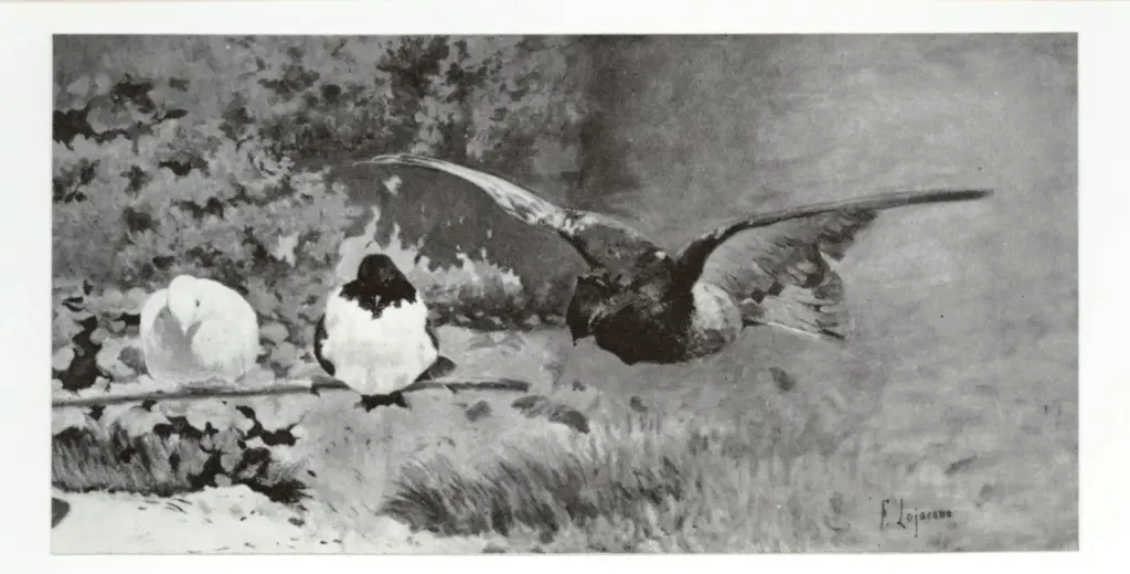 Anonimo, Anonimo , fronte