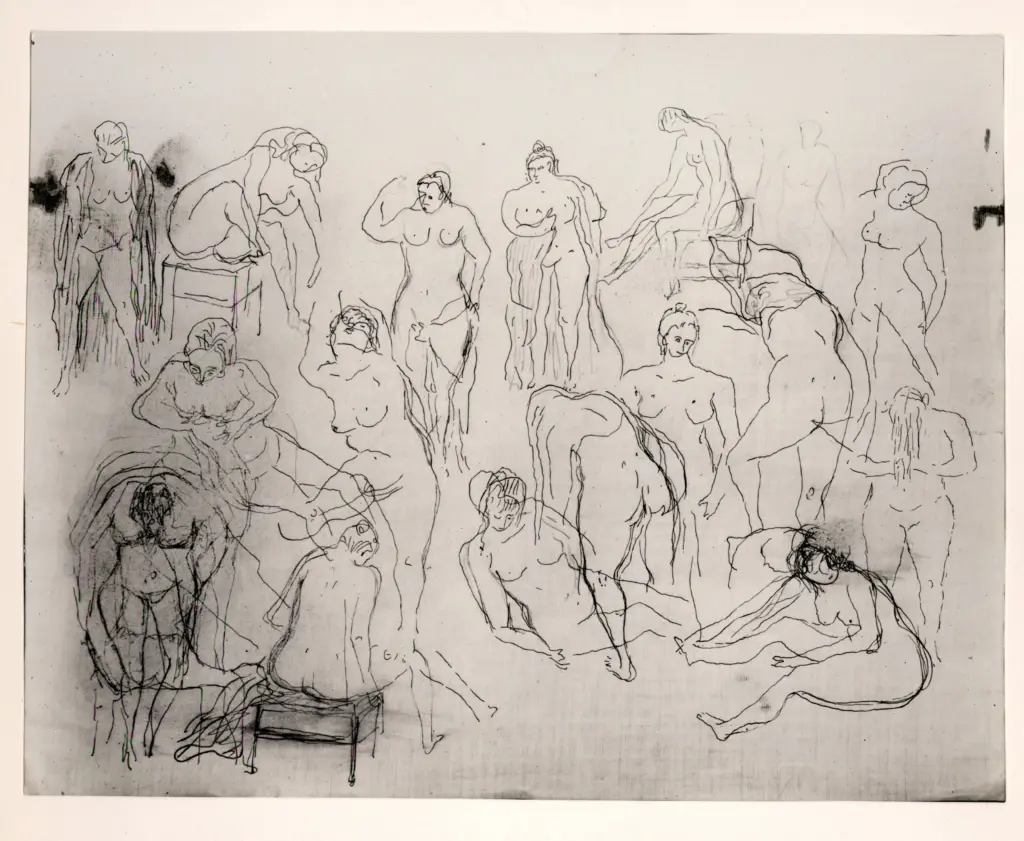 Istituto Centrale per il Catalogo e la Documentazione: Fototeca Nazionale , fronte