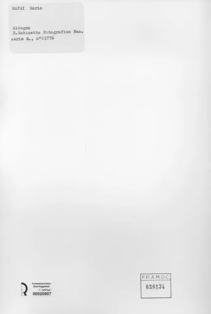 Istituto Centrale per il Catalogo e la Documentazione: Fototeca Nazionale , retro