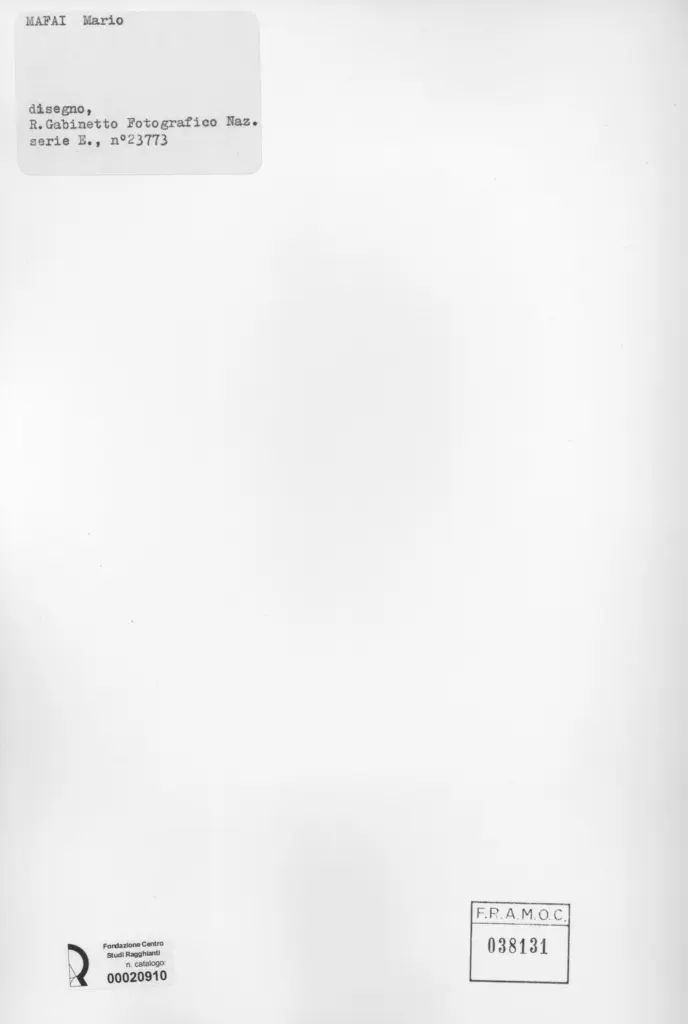 Istituto Centrale per il Catalogo e la Documentazione: Fototeca Nazionale , retro