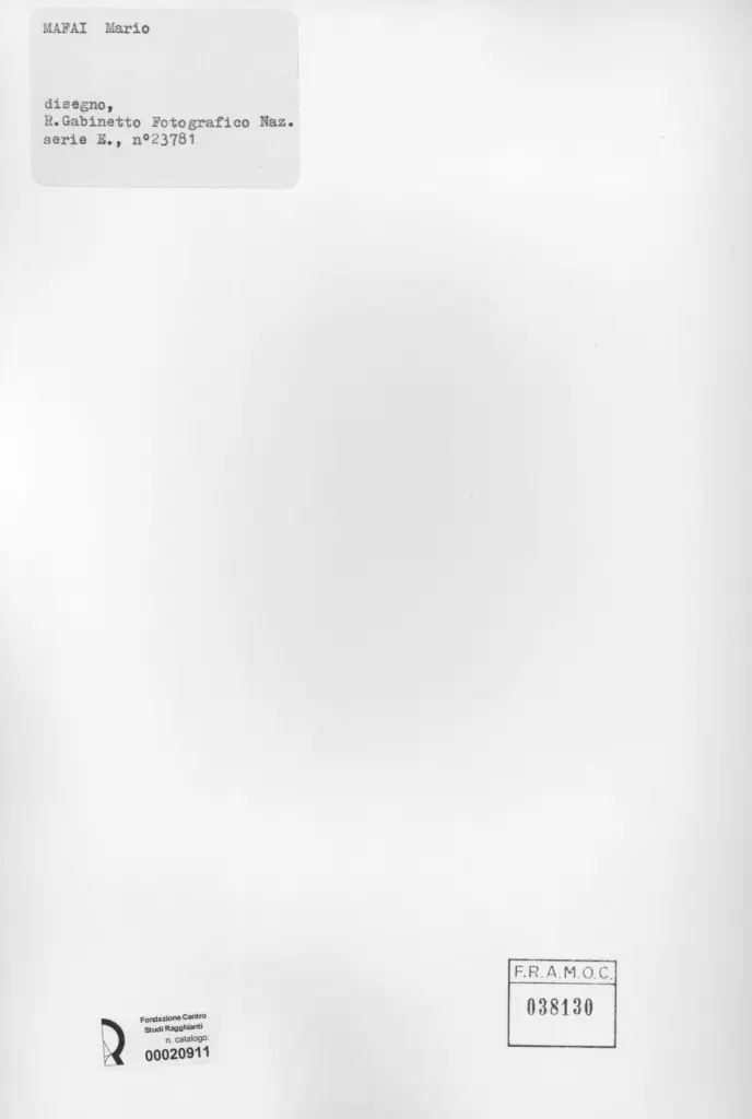 Istituto Centrale per il Catalogo e la Documentazione: Fototeca Nazionale , retro