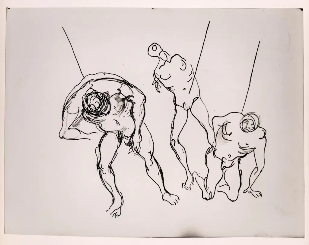 Istituto Centrale per il Catalogo e la Documentazione: Fototeca Nazionale , fronte