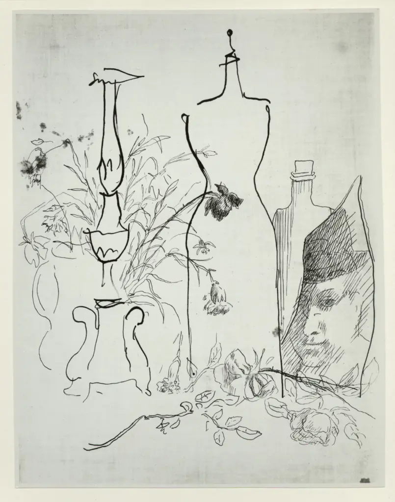 Istituto Centrale per il Catalogo e la Documentazione: Fototeca Nazionale , fronte