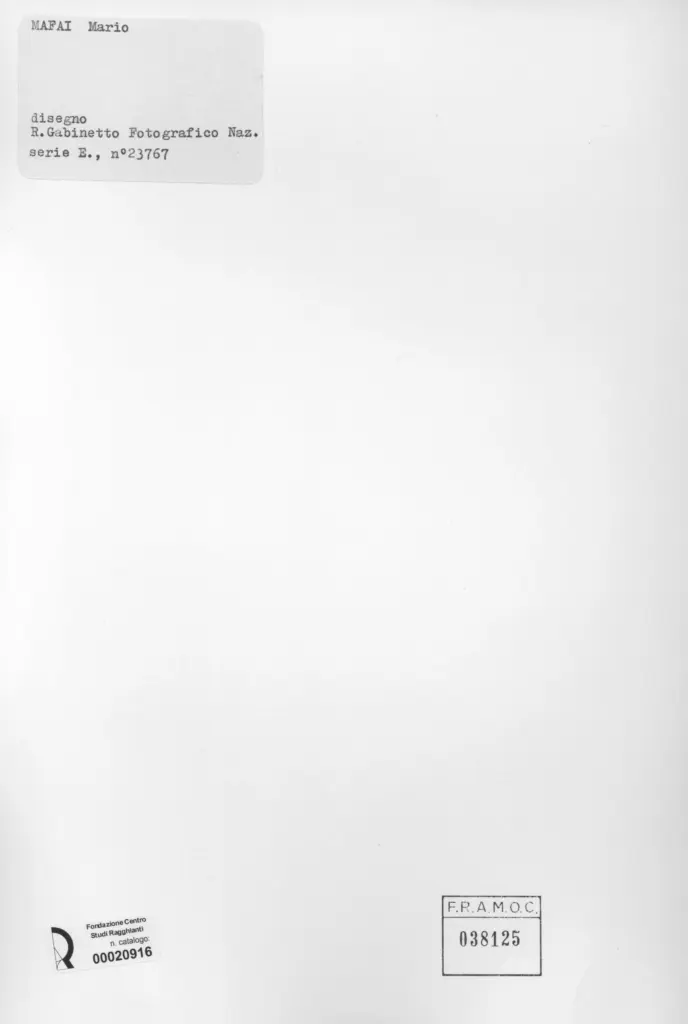 Istituto Centrale per il Catalogo e la Documentazione: Fototeca Nazionale , retro