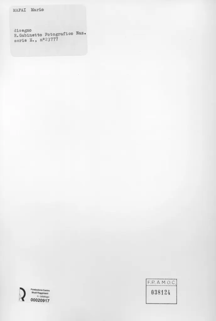 Istituto Centrale per il Catalogo e la Documentazione: Fototeca Nazionale , retro