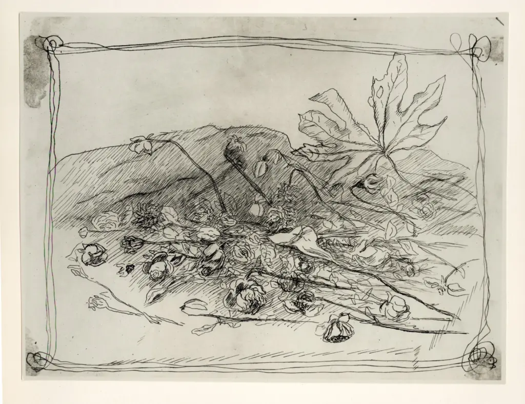 Istituto Centrale per il Catalogo e la Documentazione: Fototeca Nazionale , fronte