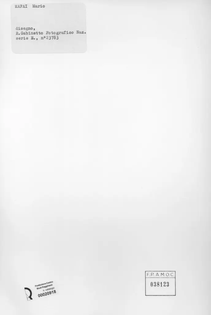 Istituto Centrale per il Catalogo e la Documentazione: Fototeca Nazionale , retro