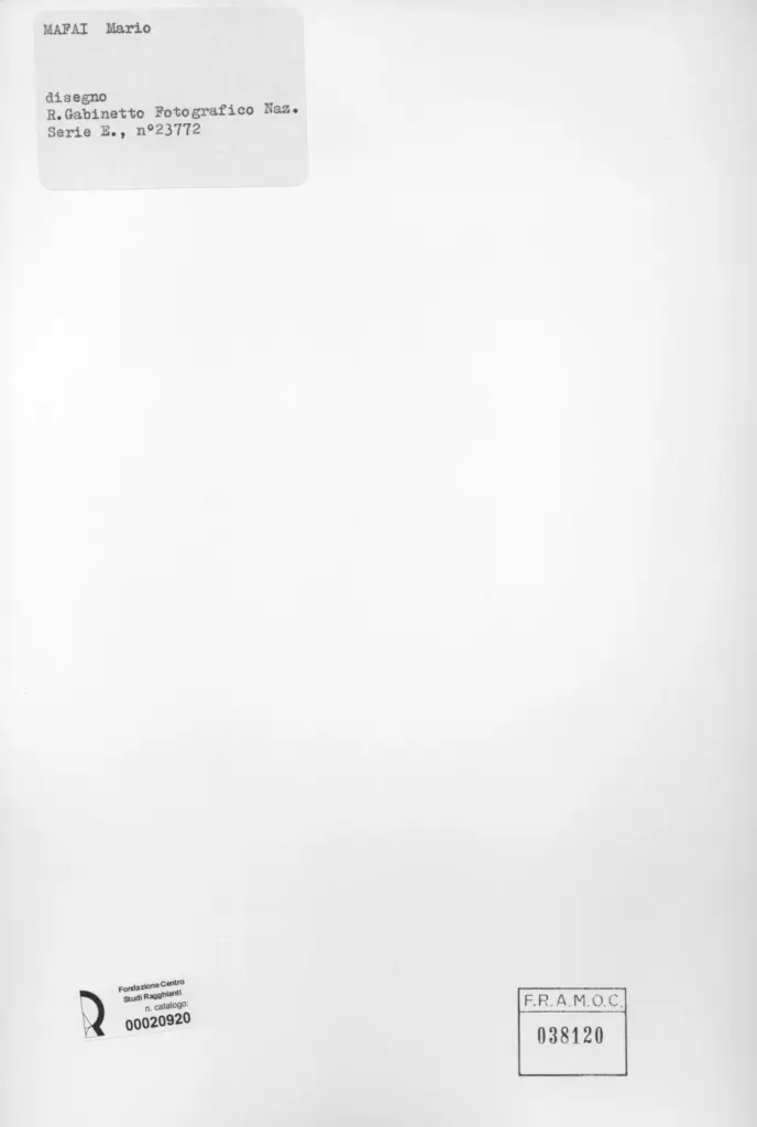 Istituto Centrale per il Catalogo e la Documentazione: Fototeca Nazionale , retro