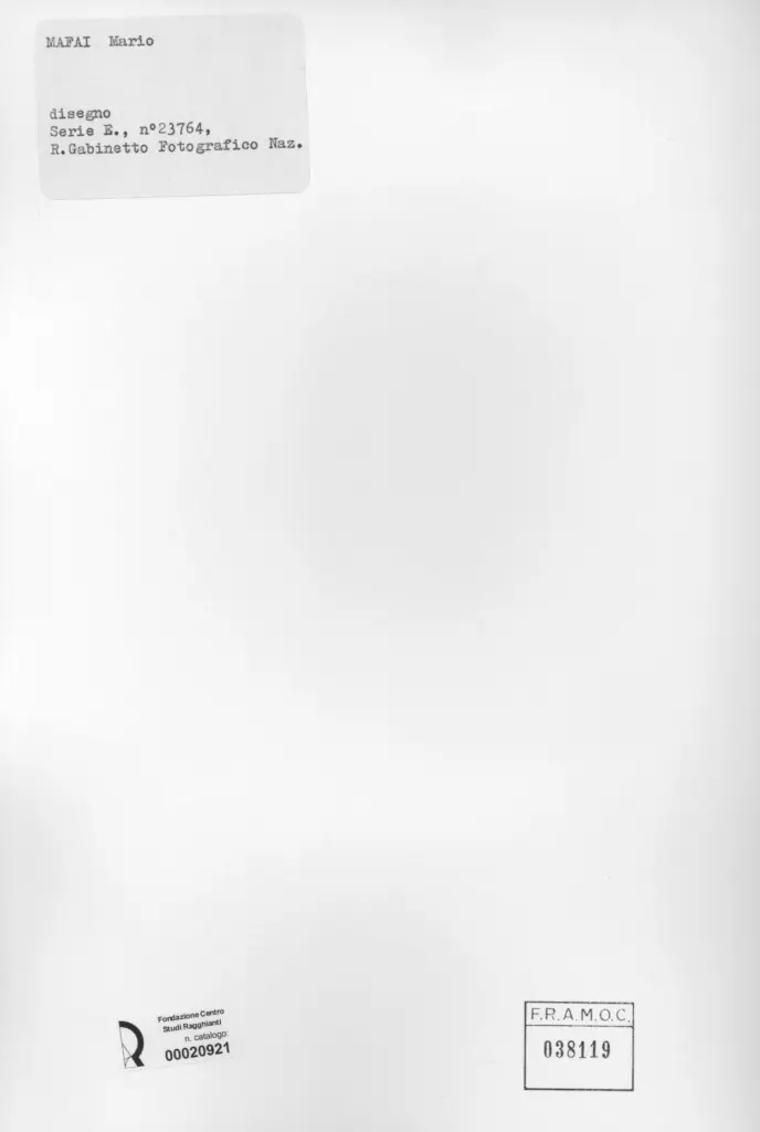 Istituto Centrale per il Catalogo e la Documentazione: Fototeca Nazionale , retro